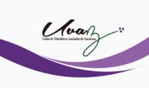 UVAZ UNION DE VITICULTORES ASOCIADOS DE ZACATECAS