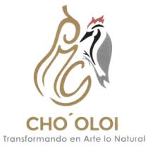CHO ´ OLOI TRANSFORMANDO EN ARTE LO NATURAL
