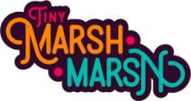 TINY MARSH MARSH