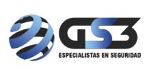GS3 ESPECIALISTAS EN SEGURIDAD