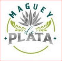 MAGUEY DE PLATA