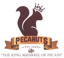 PECANUTS THE KING SQUIRREL OF PECANS
