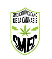 SINDICATO MEXICANO DE LA CANNABIS SMEC