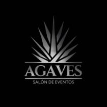 AGAVES SALON DE EVENTOS