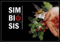 SIMBIOSIS KFS MX