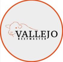 VALLEJO BEEFMASTER