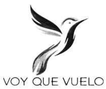 VOY QUE VUELO