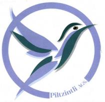 PILTZINTLI AGS