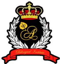 A BILINGUAL INSTITUTE