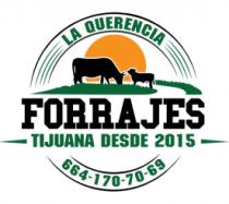 IMAGEN COMERCIAL LETRAS Y ANIMALES
