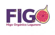 FIGO HIGO ORGANICO LAGUNERO