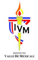 IVM INSTITUTO VALLE DE MEXICALI