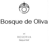 BOSQUE DE OLIVA EN RESERVA BOSQUE REAL