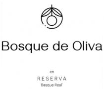 BOSQUE DE OLIVA EN RESERVA BOSQUE REAL