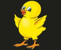 POLLOS ASADOS EL PIO PIO