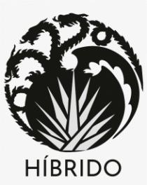 HÍBRIDO