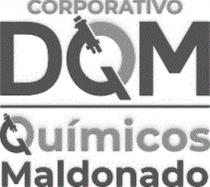 CORPORATIVO DQM QUIMICOS MALDONADO