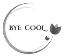 BYE COOL