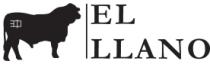 EL LLANO