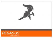 PEGASUS HIDROGEL SHIELD BY ZM