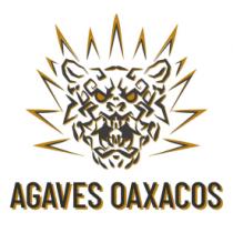 AGAVES OAXACOS