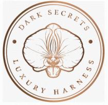 DARK SECRETS