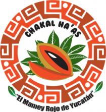CHAKAL HA'AS ; EL MAMEY ROJO DE YUCATAN