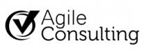 AGILE CONSULTING