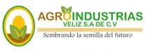 AGROINDUSTRIAS VELIZ SEMBRANDO LA SEMILLA DEL FUTURO