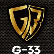 G-33 SEGURIDAD PRIVADA