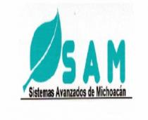 SISTEMAS AVANZADOS DE MICHOACAN