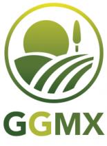 GGMX