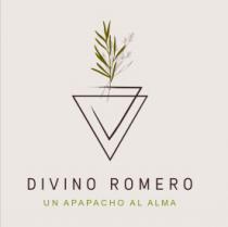DIVINO ROMERO; UN APAPACHO AL ALMA.