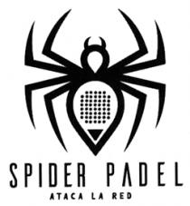 SPIDER PADEL