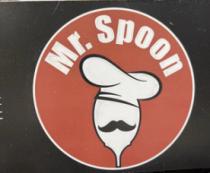 MR. SPOON