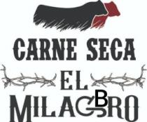 CARNE SECA EL MILAGBRO