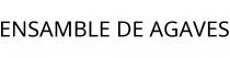 ENSAMBLE DE AGAVES
