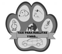 TAXI PARA HUELLITAS Y MAS.