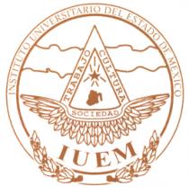 INSTITUTO UNIVERSITARIO DEL ESTADO DE MÉXICO SOCIEDAD TRABAJO CULTURA IUEM
