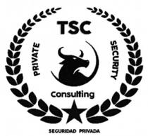 TSC PRIVATE SECURITY CONSULTING