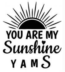 YOU ARE MY SUNSHINE YAMS