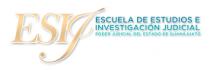 ESCUELA DE ESTUDIOS DE INVESTIGACION JUDICIAL DEL PODER JUDICIAL DEL ESTADO DE GUANAJUATO