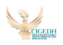 COMITE DE IGUALDAD DE GENERO Y DERECHOS HUMANOS DEL PODER JUDICIAL DEL ESTADO DE GUANAJUATO