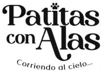 PATITAS CON ALAS CORRIENDO AL CIELO