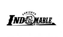CONJUNTO INDOMABLE DE AGS