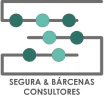 SEGURA Y BARCENAS CONSULTORES