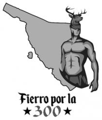 FIERRO POR LA 300