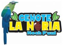 CENOTE LA N RIA NOCH P'UUL