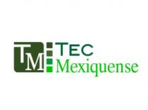 TEC MEXIQUENSE