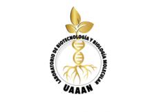 LABORATORIO DE BIOTECNOLOGÍA Y BIOLOGÍA MOLECULAR UAAAN